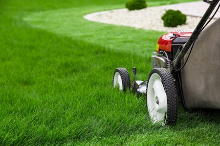 Lawn Mowing Schedule in Connecticut: Weekly vs. Biweekly (What’s Best for Your Grass)